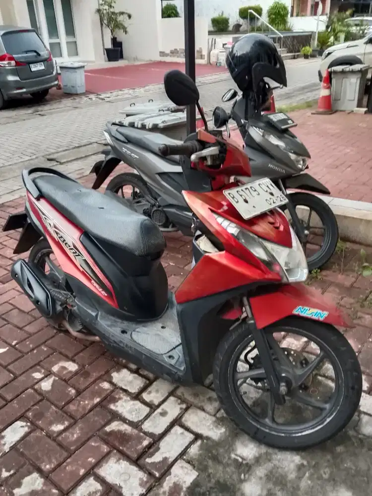 honda bearFi 2013