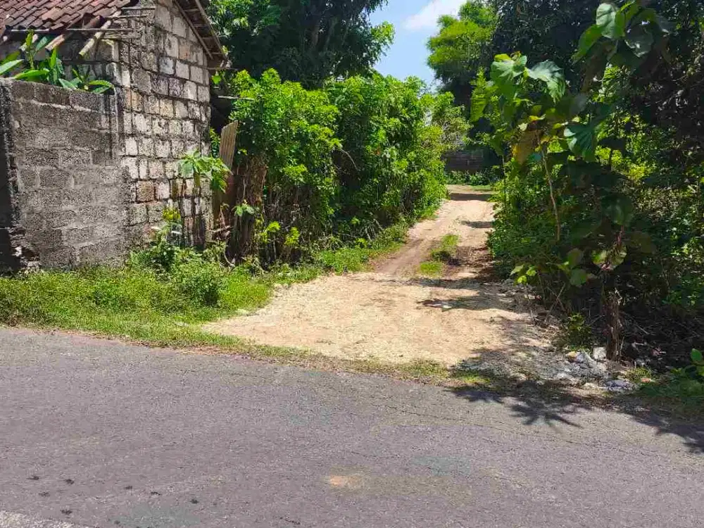 dijual tanah 200m² dekat Nirmala Ungasan Kuta Selatan Badung Bali IDR 550 juta per are