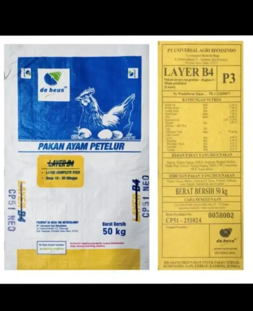 Pakan ayam petelur dhaus