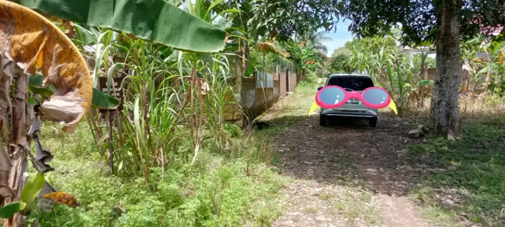 Tanah Siap Bangun Lokasi Berkembang