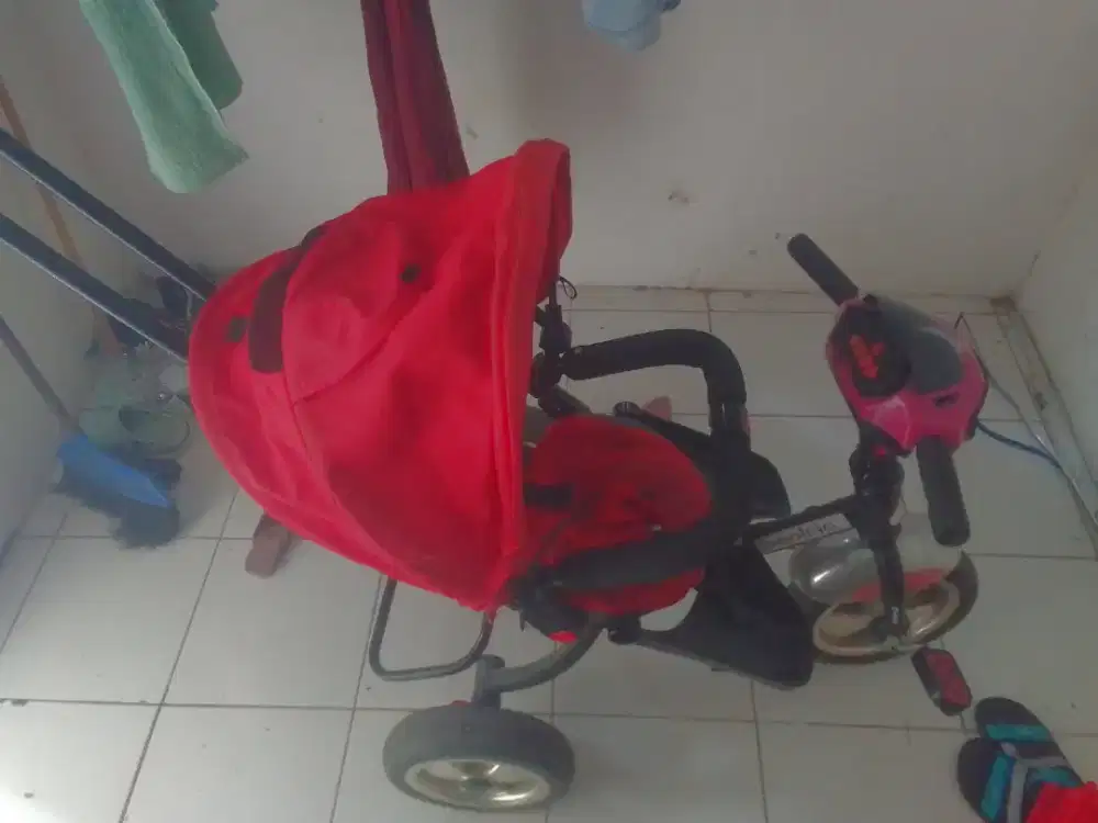 Sepeda roda 3 pacific 5099