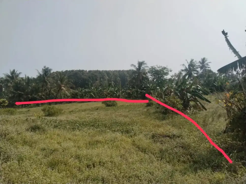 Di jual cepat tanah kebun