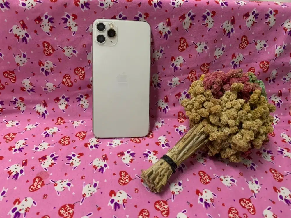 Iphone 11 pro max 256Gb ex inter