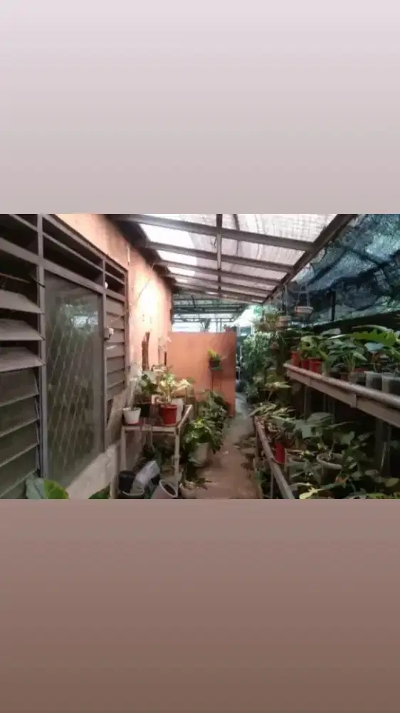 Rumah disewakan luas di pondok pinang