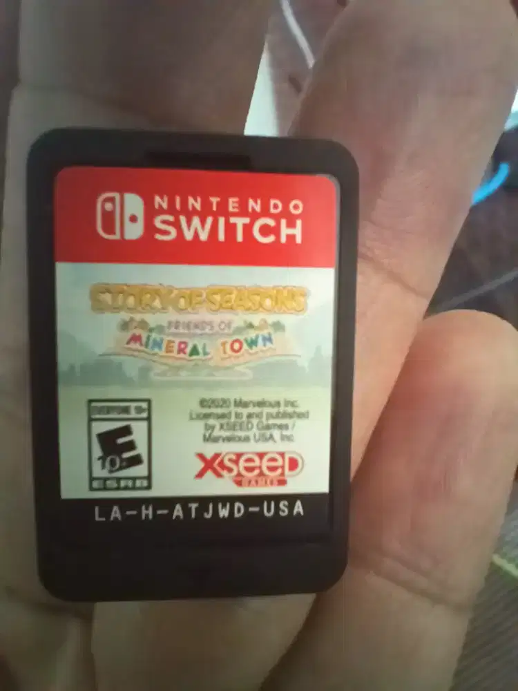 Kaset Nintendo Switch Story of  Season Friend Mineral Town