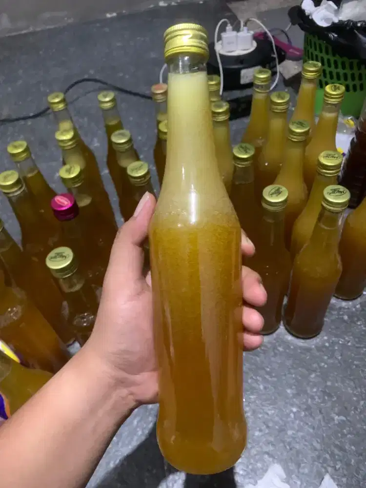 Madu klanceng trigona jenis itama asli 100%