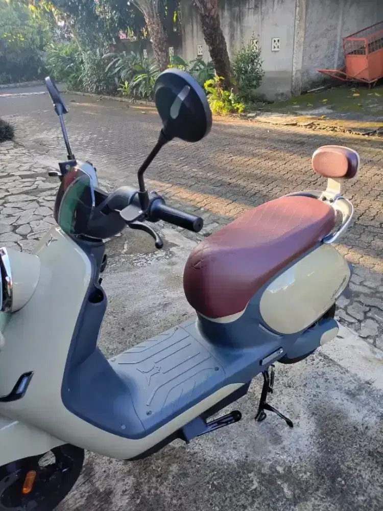 Motor Listrik UWinfly T80