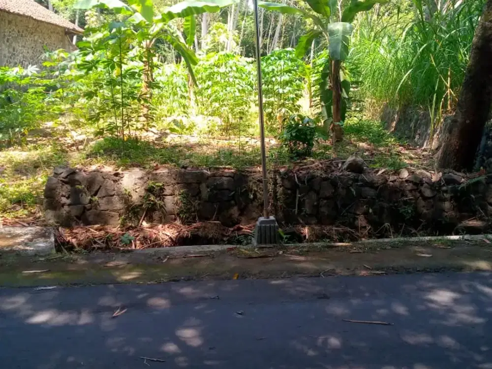 TANAH MURAH MERIAH LOKASI DI TENGAH PERKAMPUNGAN