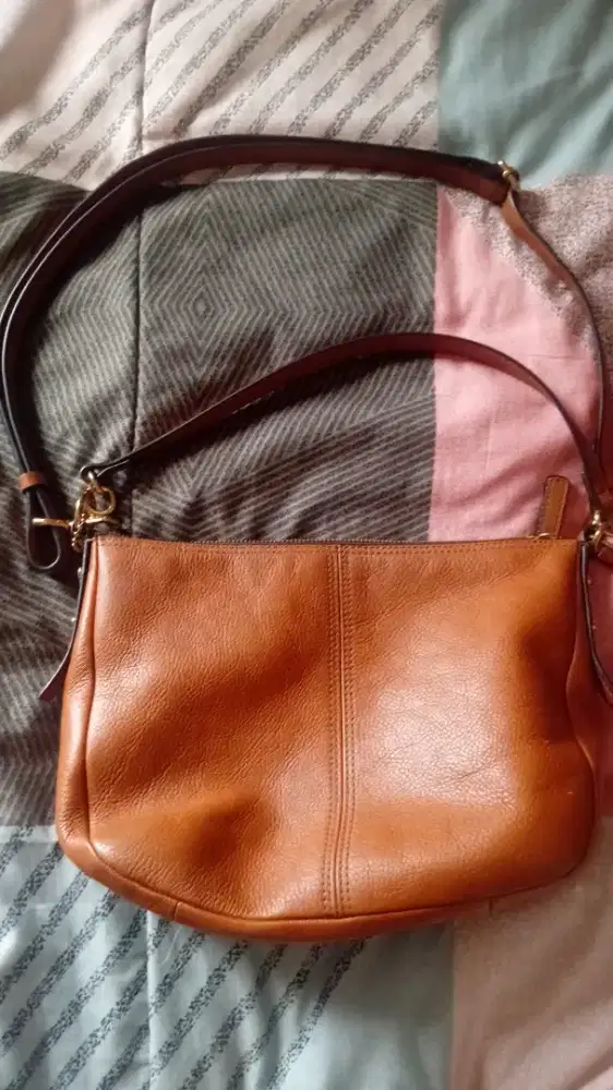 Tas Fossil Original