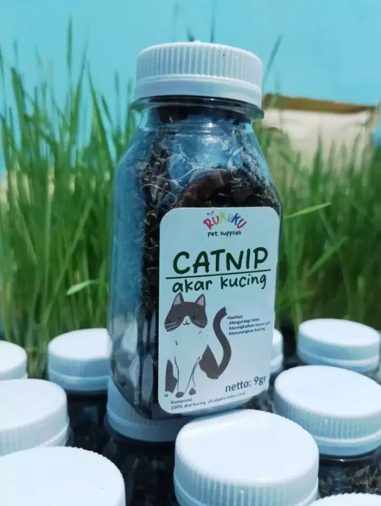 Cemilan Kucing, Catnip, Makanan Kucing, Akar Kucing