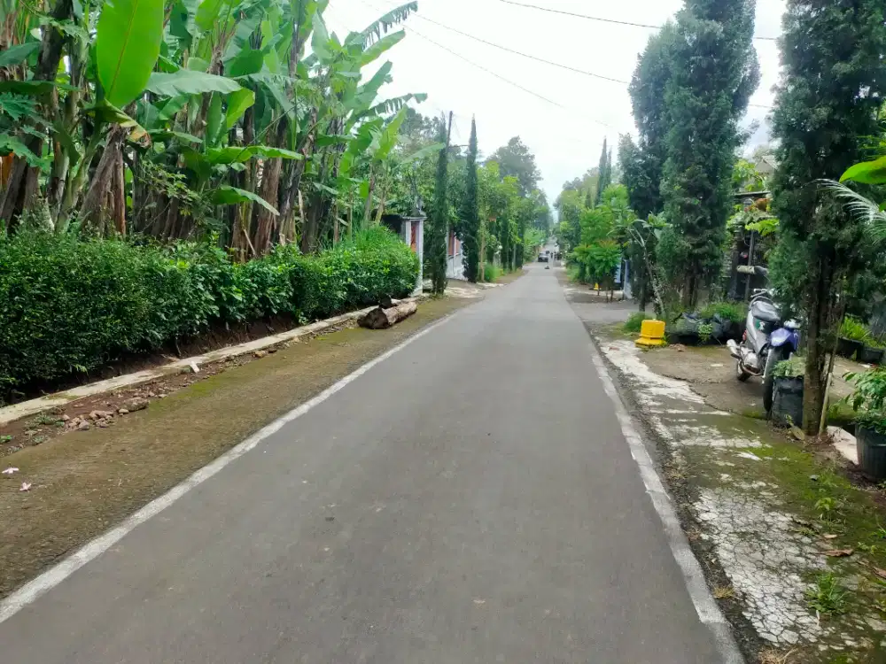 Kebun Durian Produktif Jumantono Karanganyar