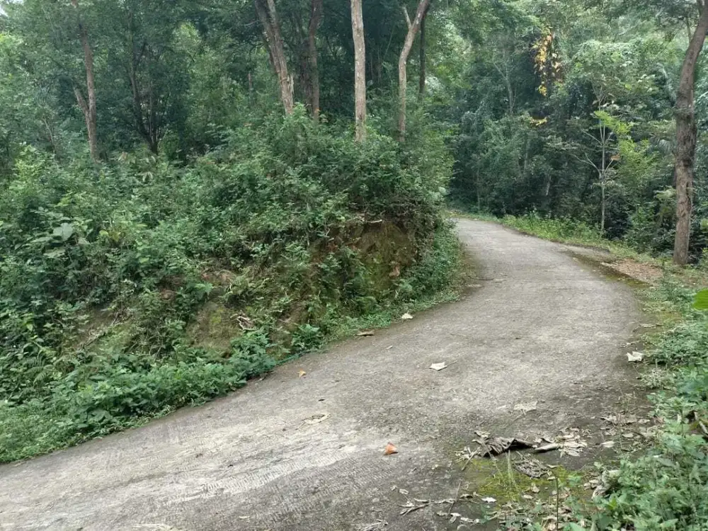 JUAL TANAH DI KALIREJO KOKAP KULONPROGO VIEW PEGUNUNGAN