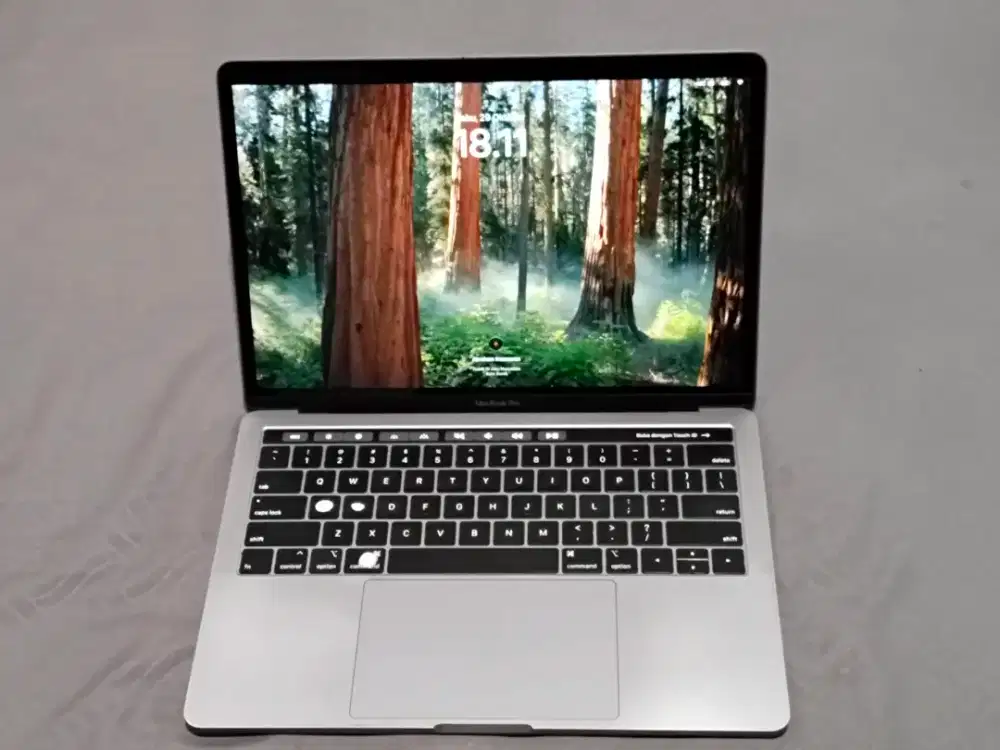 Macbook Pro 2018 RAM 8GB SSD 256GB