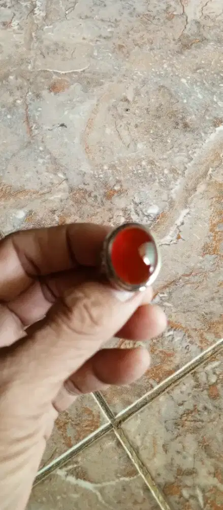 BACAN OBI SUPER RED