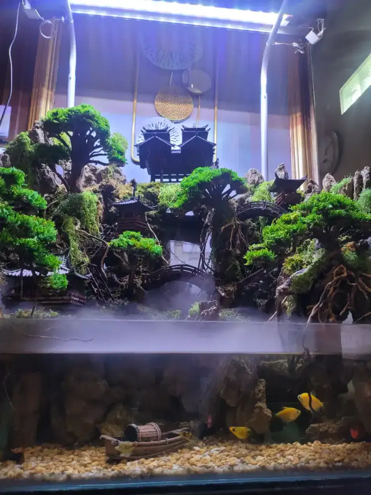 paludarium tema penjing bonsai