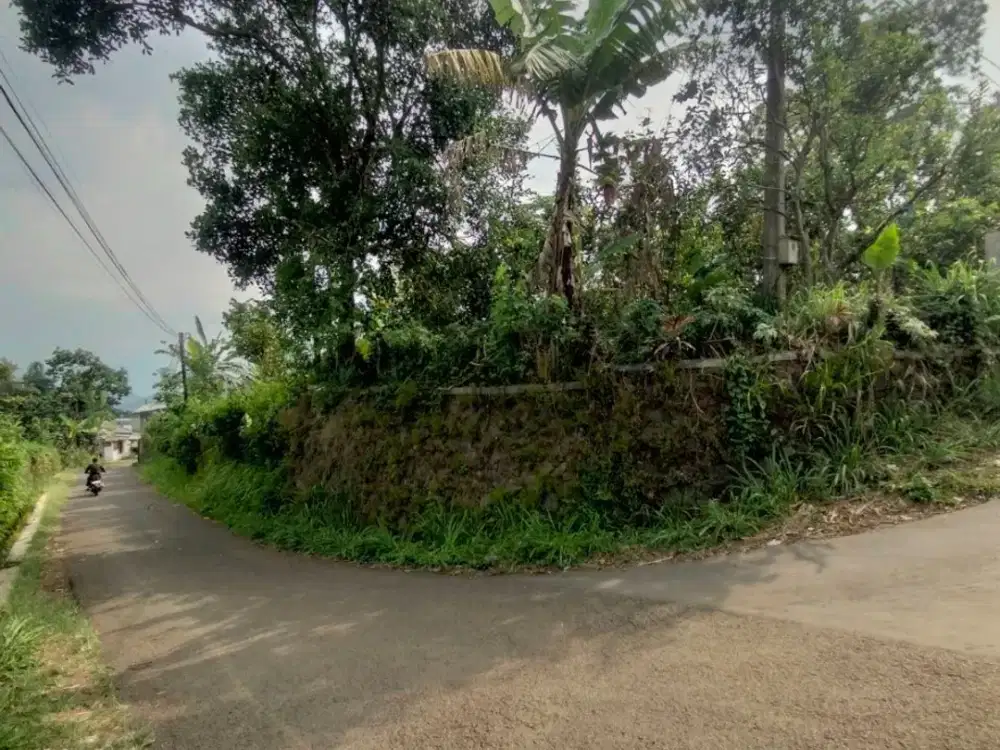 tanah datar asri sejuk sukalarang sukaraja sukabumi cocok villa kebun