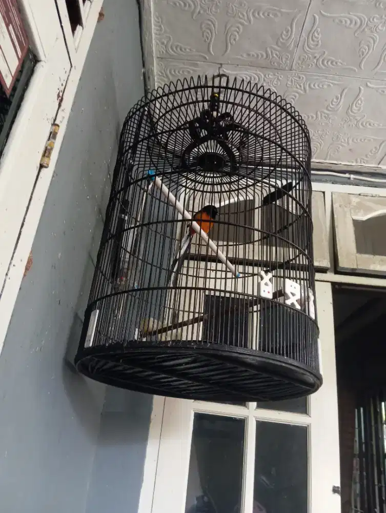 Murai Batu 1.100.000/Full set