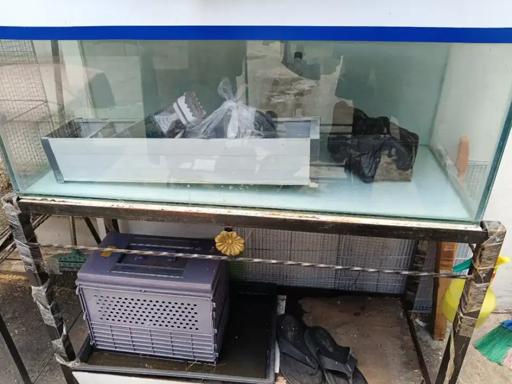 Aquarium ukuran sedang