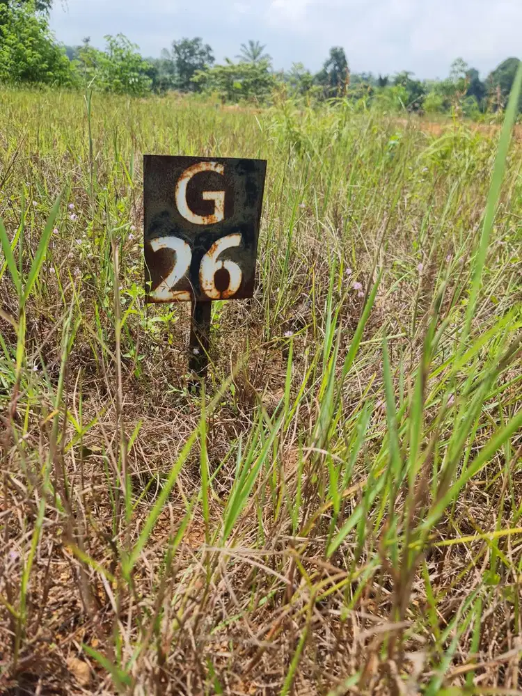 Dijual Tanah Dekat Exit Tol Kotabaru