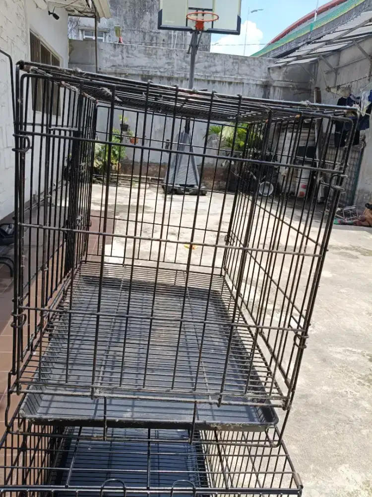 Kandang hewan (anjing , kucing)