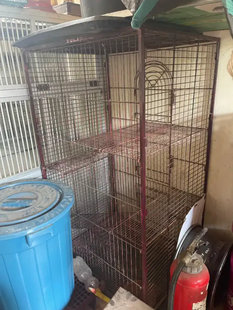 Kandang kucing besar