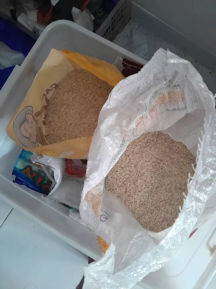 Beras bau apek dan kutu