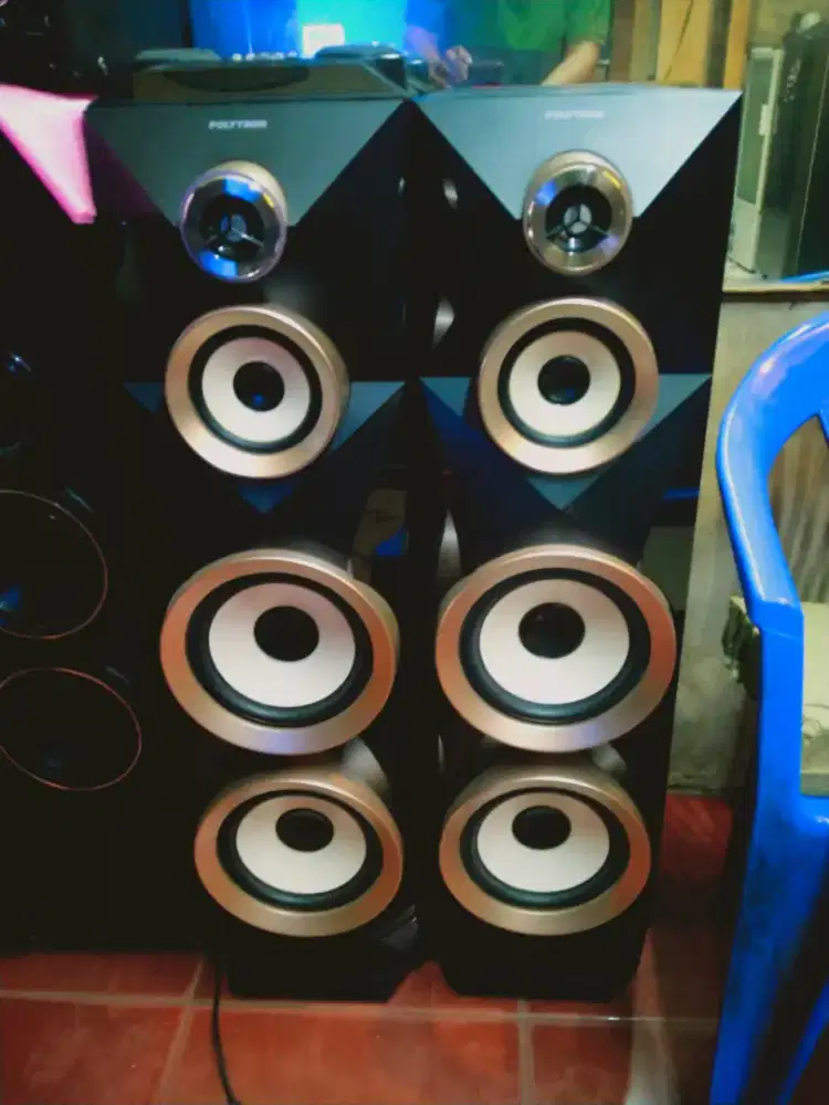 Speker aktiv polytron