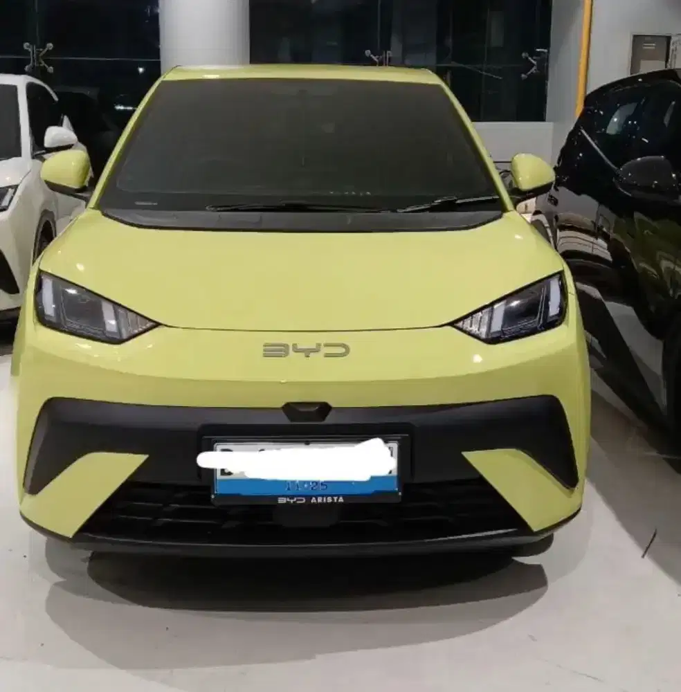 BYD ATTO 1 SPROUT GREEN