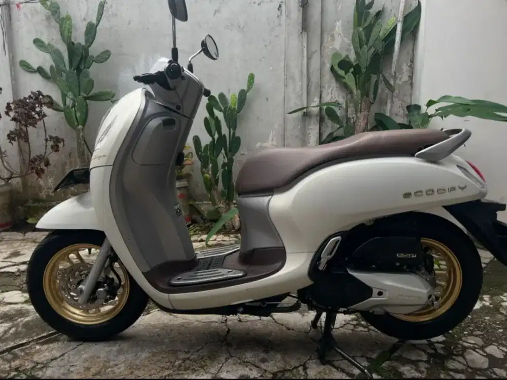 Scoopy Prestige 2022