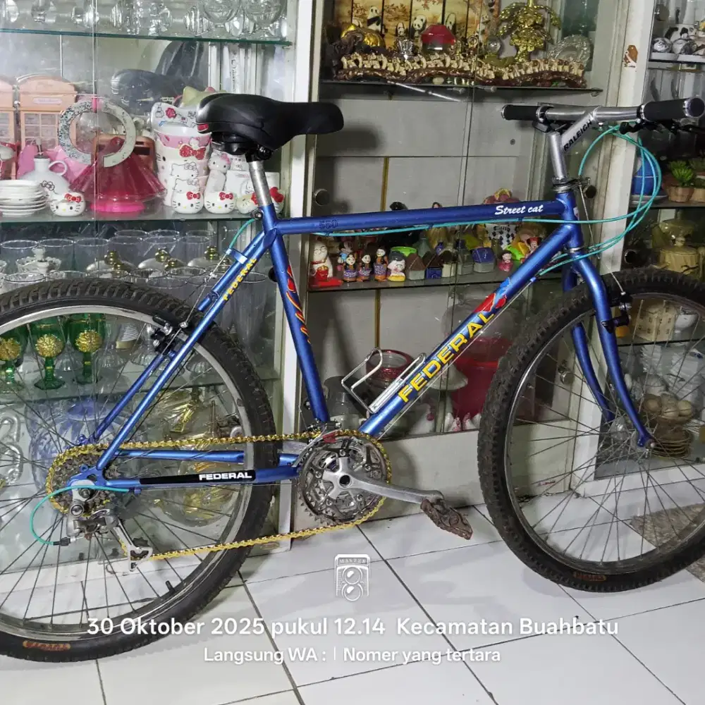 Sepeda Federal Steet Cat 550 Series Awal Original