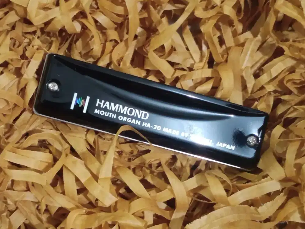 Harmonica diatonic