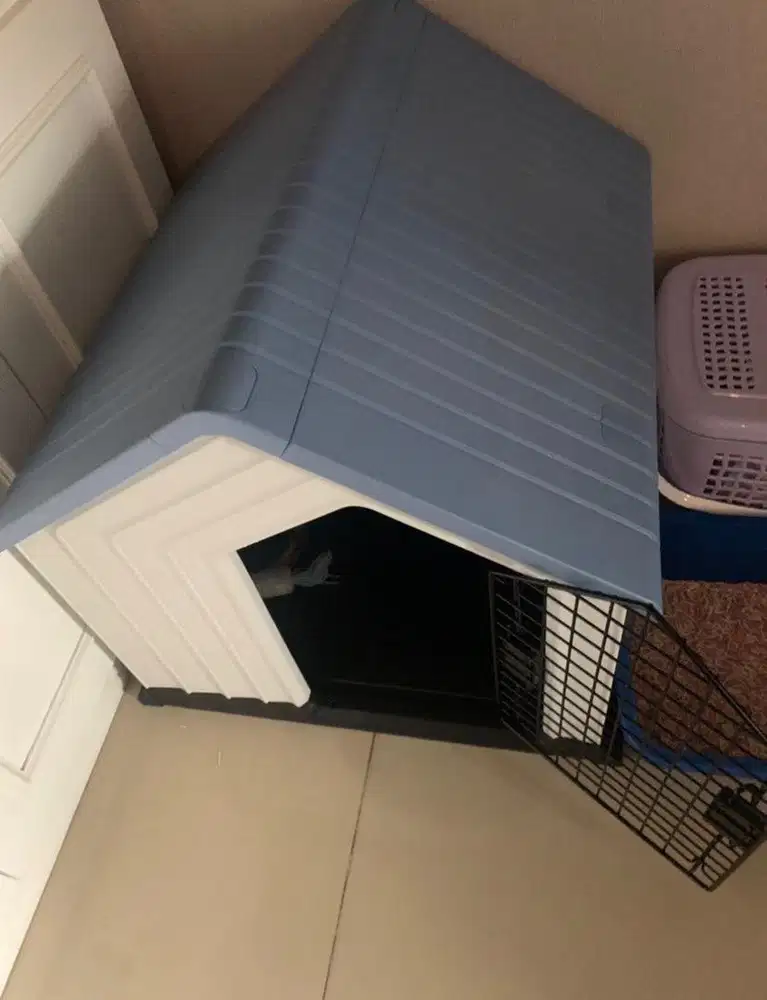 Kandang kucing  ace hardware azko