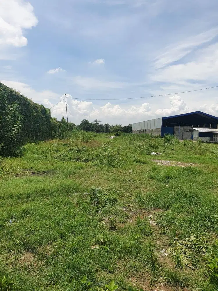 DIJUAL TANAH SHM PINGGIR JL. KH ROMLI TAMIM KEPLAKSARI