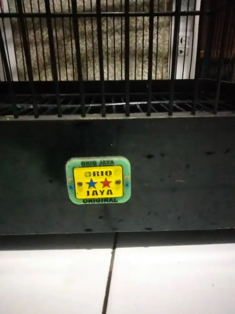 Kurung manuk no 1 oriq