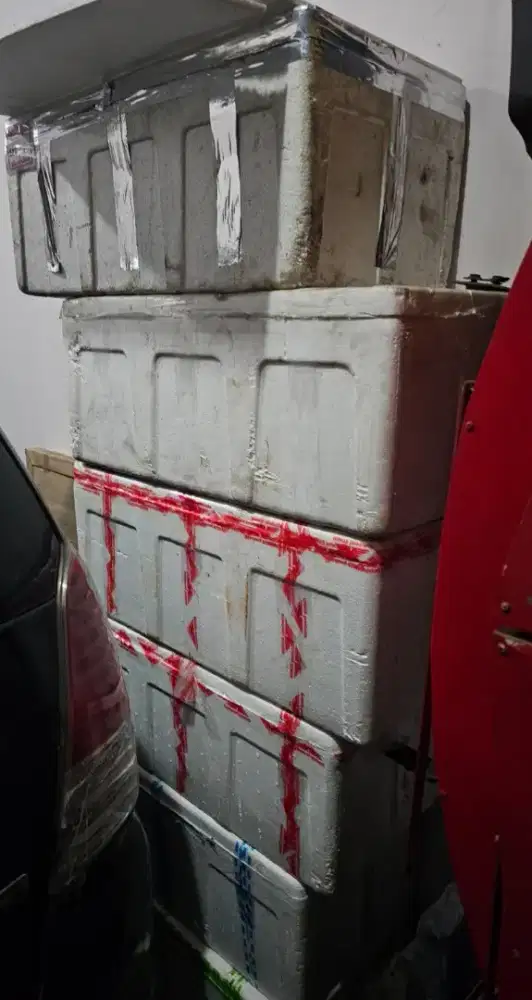 Jual steforoam ikan / frozen food