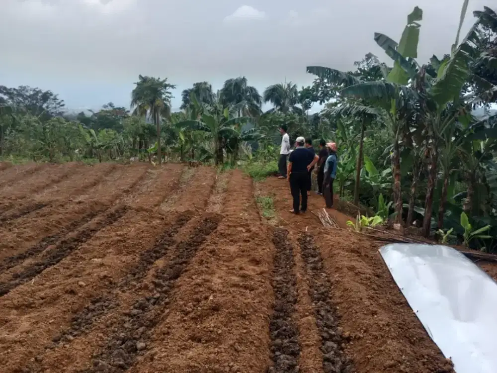 Lahan kavling strategis view pegunungan siap pakai