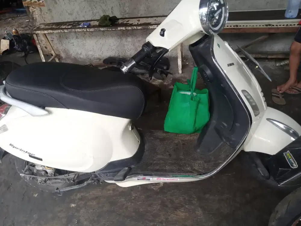 exotic sprinter prime 2024