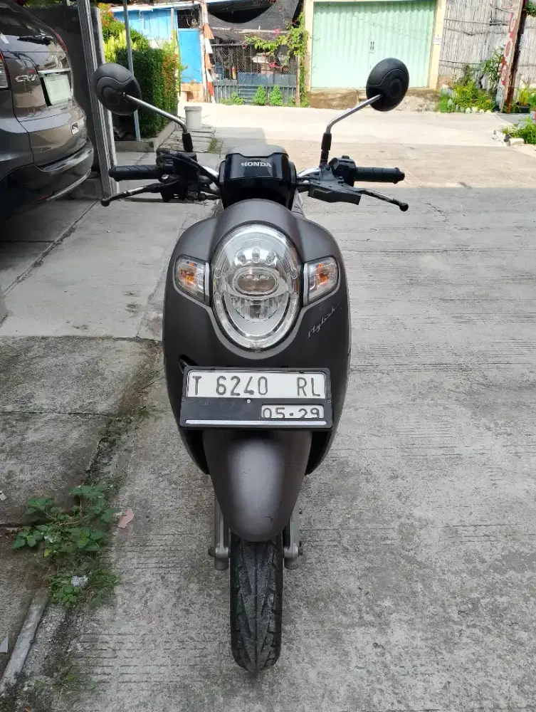 SCOOPY DONAT 2019