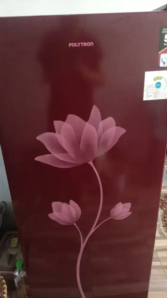 Kulkas Polytron 1 pintu