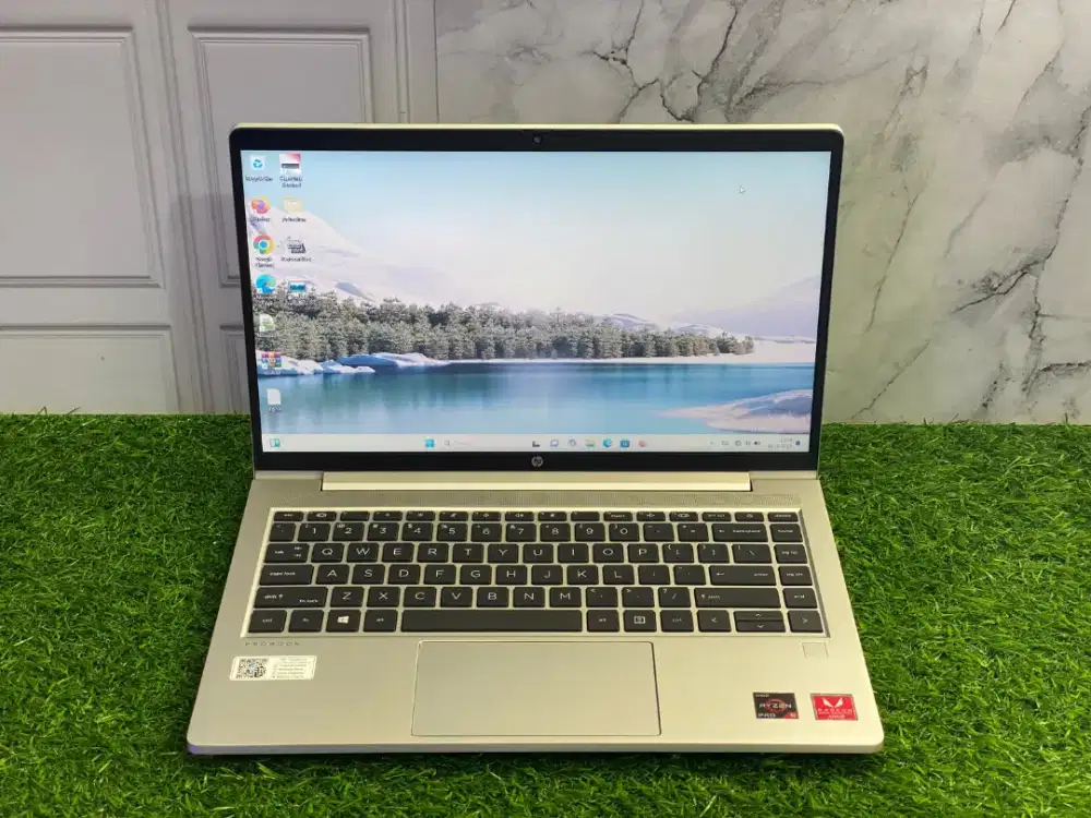 Hp ProBook 445 G8