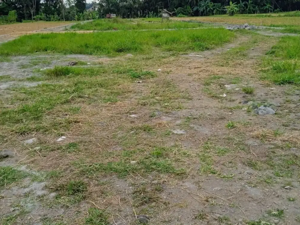 Dekat Jalan Kaliurang Km 14 Tanah Kavling Strategis Cocok Untuk Hunian Atau Villa