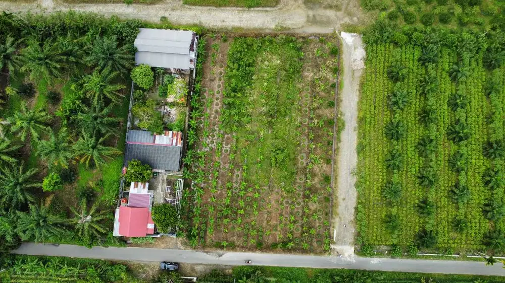 Tanah Kosong (SHM)- Kelurahan Suka Maju, Lokasi Pinggir Jalan