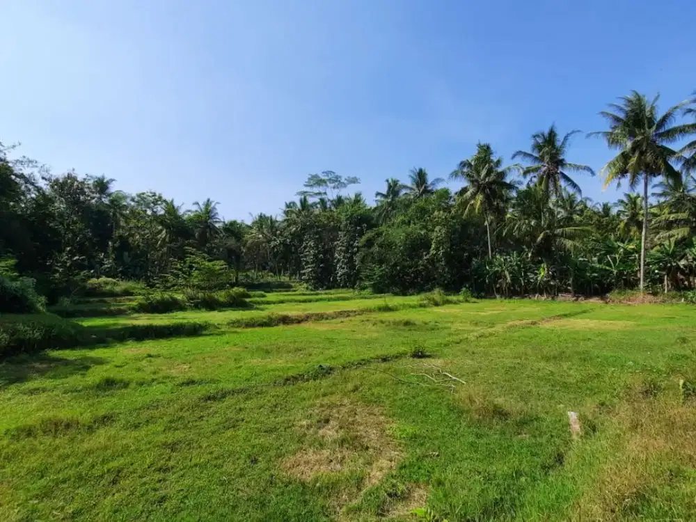 Dekat Sat Briop Sentolo Kavling Siap bangun Cocok untuk Hunian pun Homestay