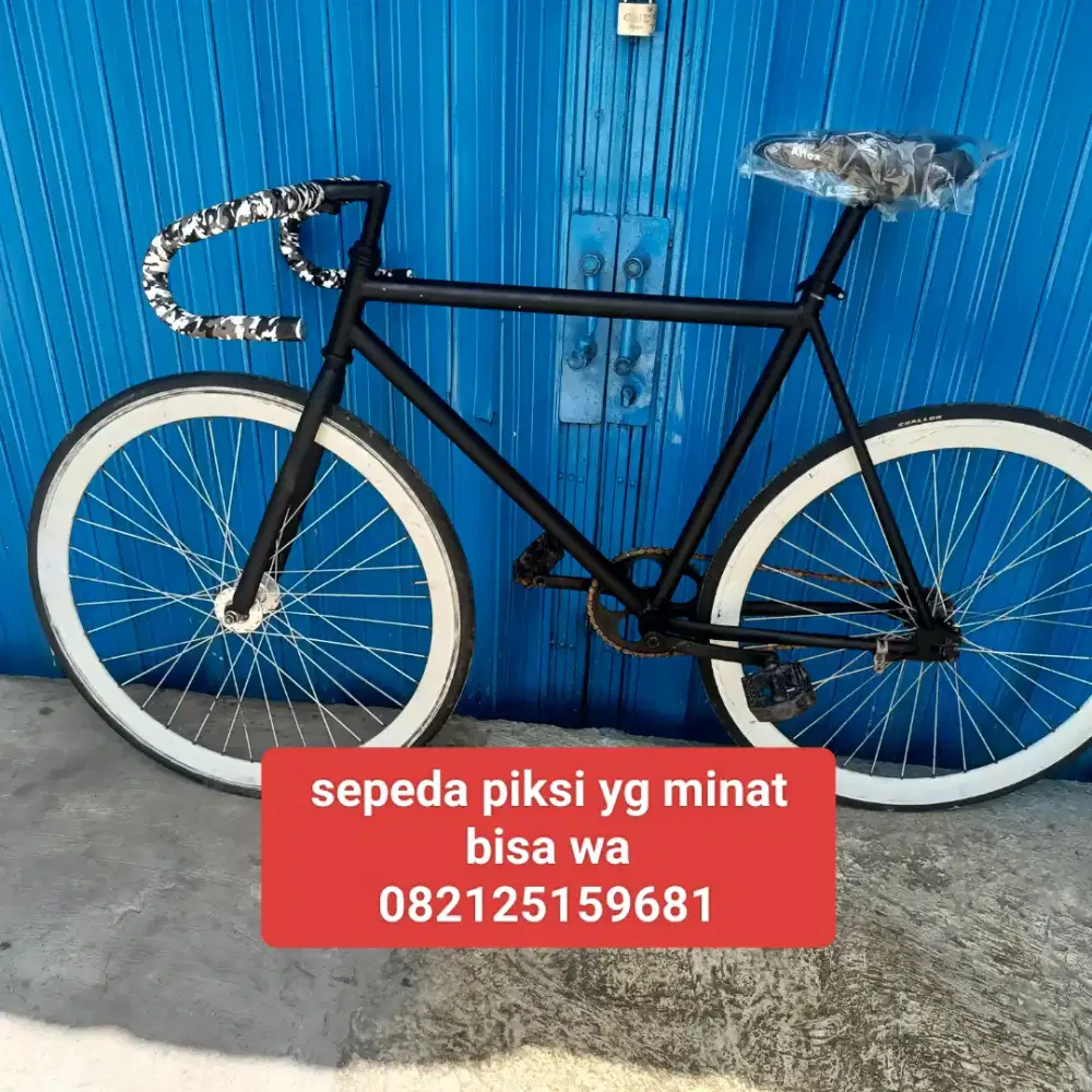 Sepeda piksi rem torpedo