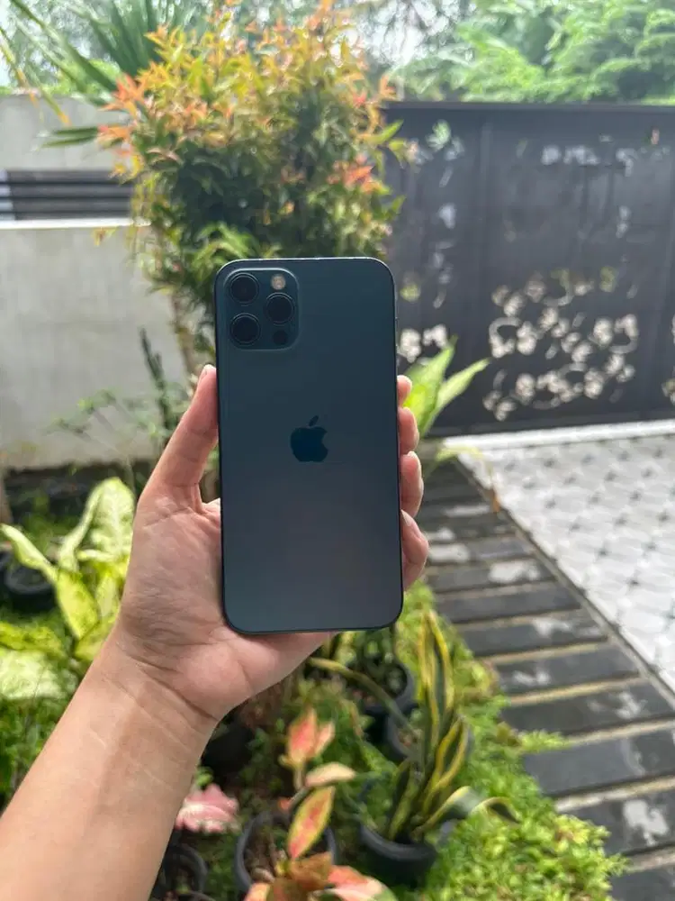 Jual iPhone 12 Pro 256 GB (Pacific Blue) Second