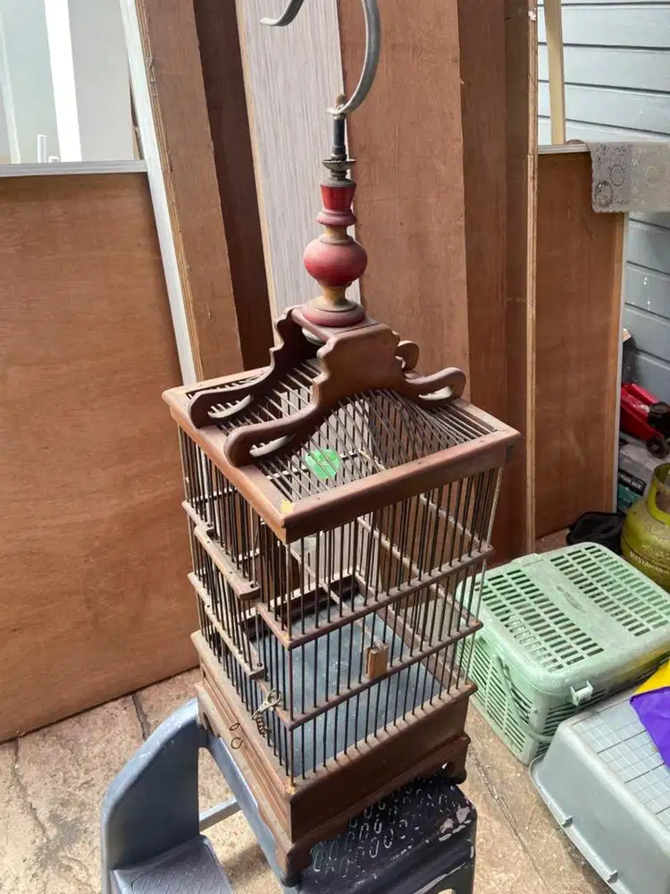 Sarang burung kayu jati