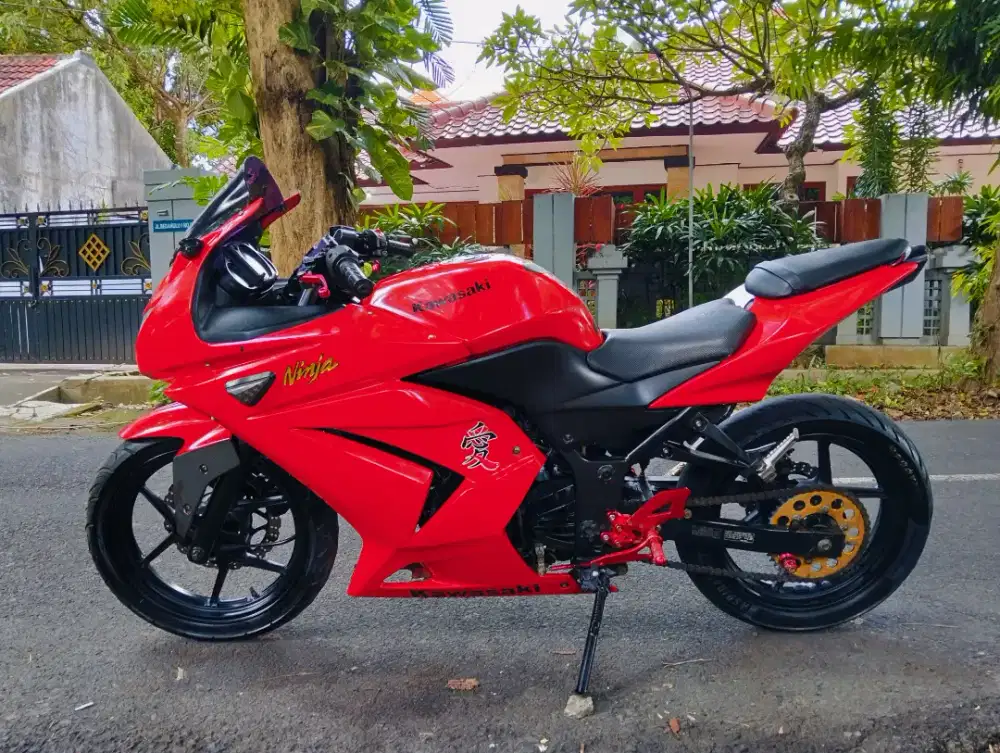 Ninja 250 karburator