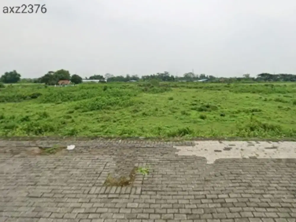 JUAL TANAH KAVLING INDUSTRI 1,2HA NGORO INDUSTRIAL PARK