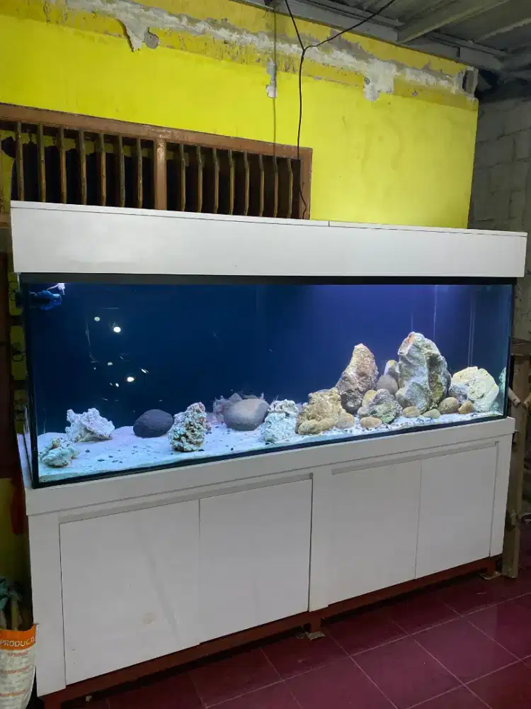 aquarium size 2 meter