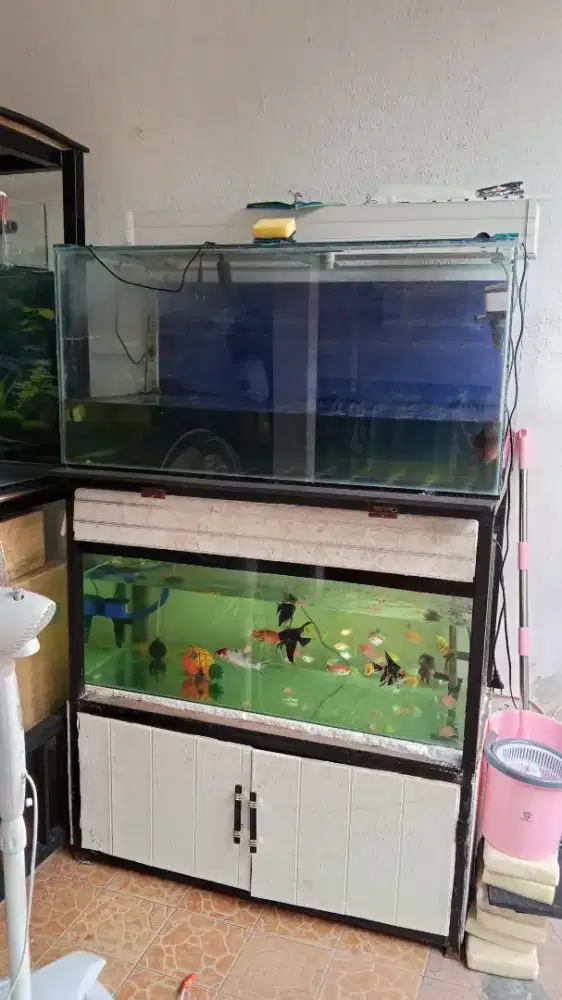 Aquarium 2 meja lengkap fullset ikan lohan